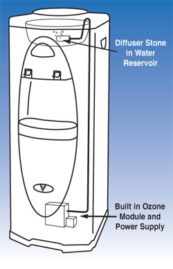 Bottleless water cooler ozone sanitizer